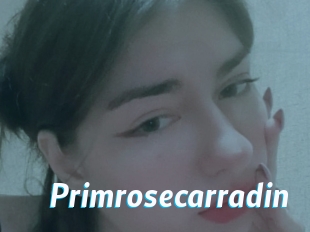 Primrosecarradin