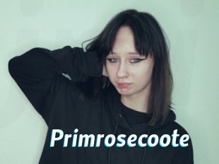 Primrosecoote