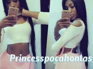Princesspocahontas