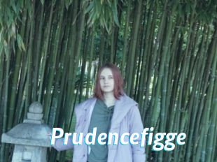 Prudencefigge