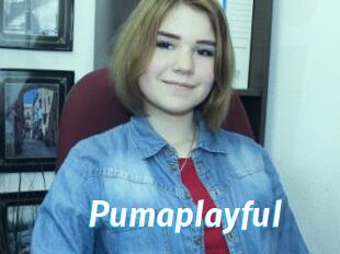 Pumaplayful