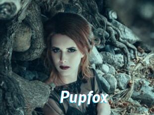 Pupfox