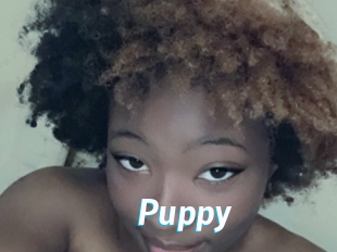 Puppy