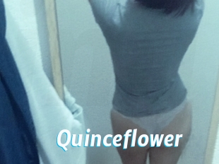 Quinceflower