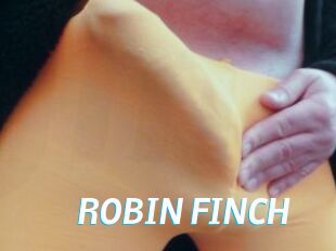 ROBIN_FINCH