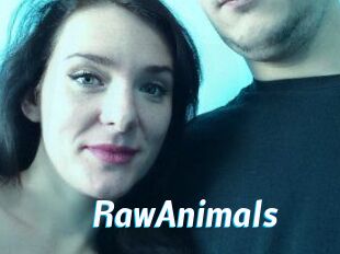 RawAnimals