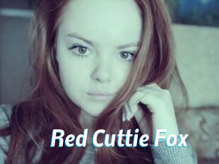 Red_Cuttie_Fox