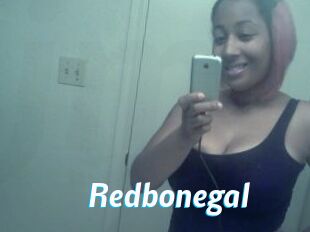 Redbonegal