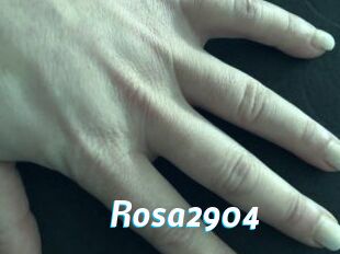 Rosa2904