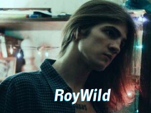 RoyWild
