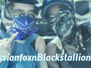 RussianfoxnBlackstallion