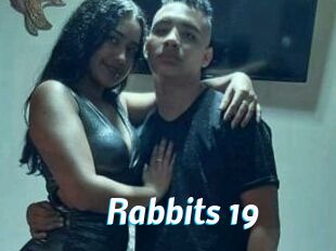 Rabbits_19