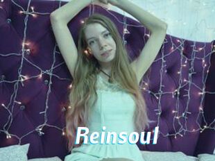 Reinsoul