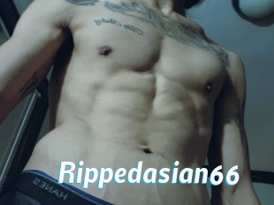 Rippedasian66