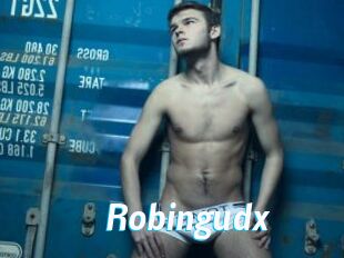 Robingudx