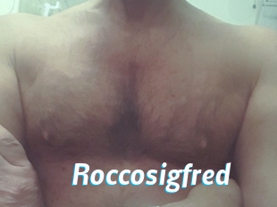 Roccosigfred