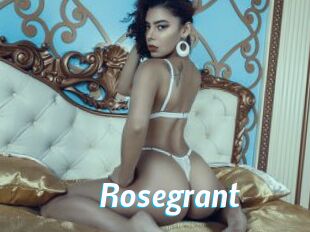 Rosegrant