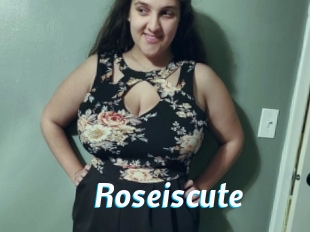 Roseiscute