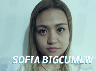 SOFIA_BIGCUMLW