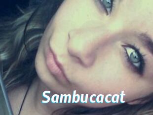 Sambucacat