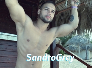 SandroGrey J Mine