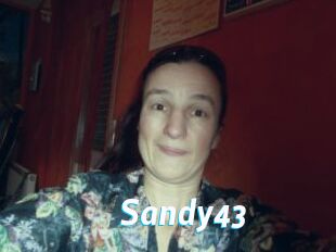Sandy43