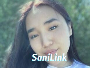 SaniLink