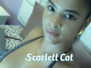 Scarlett_Cat