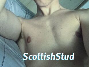 Scottish_Stud