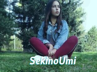 SekinoUmi