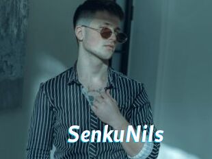 SenkuNils