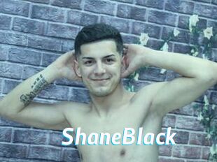 ShaneBlack