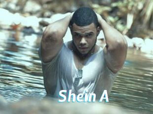 Shein_A