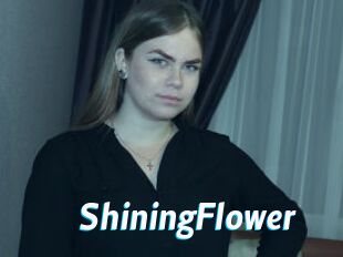 ShiningFlower