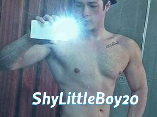 ShyLittleBoy20