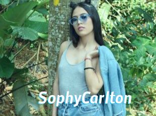 SophyCarlton
