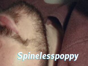 Spinelesspoppy