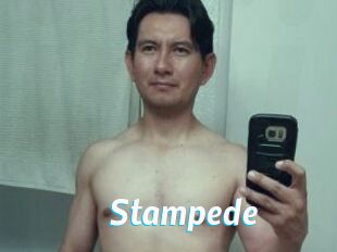 Stampede
