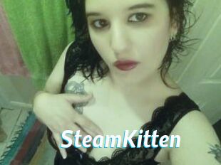 SteamKitten