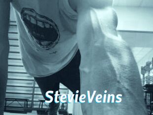 StevieVeins