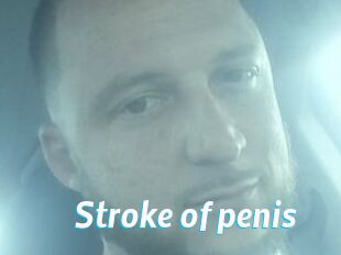 Stroke_of_penis