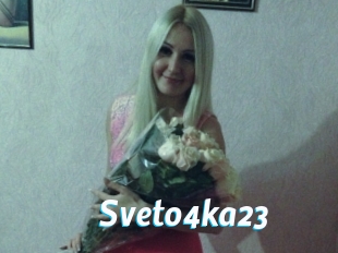 Sveto4ka23 J Mine