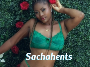 Sachahents