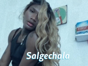 salgechala J Mine
