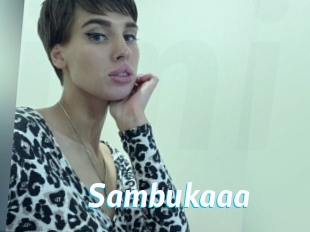 Sambukaaa