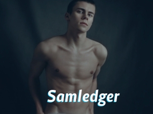 Samledger