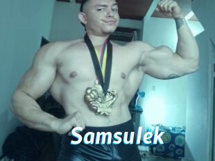 Samsulek