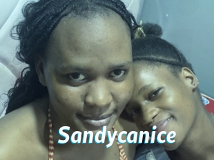 Sandycanice