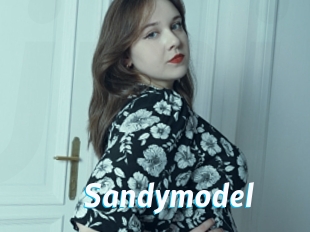 Sandymodel