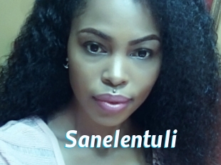 Sanelentuli